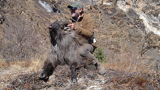 Himalayan Safaris Pvt Ltd.